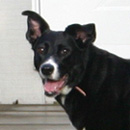 Estella was adopted in December, 2012